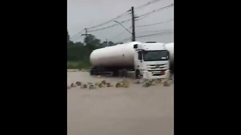 chuva leva botijões na Bahia enxurrada inundação