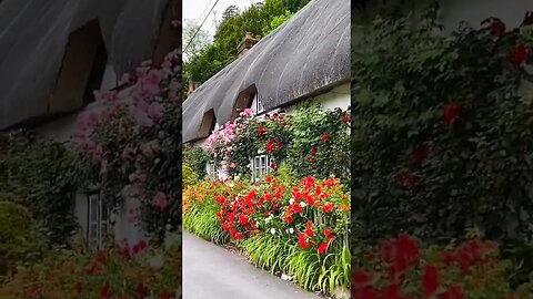 A house in flowers 🤗❤️