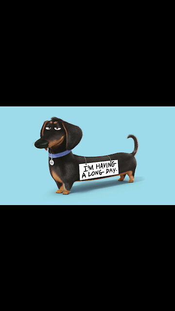 Incredible video! Dog Acts like a real Human Being