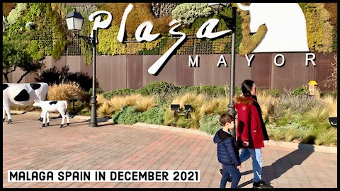 Plaza Mayor Malaga Spain Walk in December 2021
