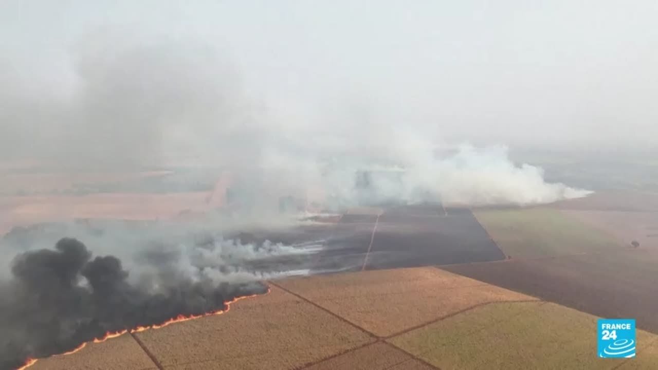 Incendios forestales en el estado brasileño de São Paulo arrasan cientos de hectáreas de cultivo