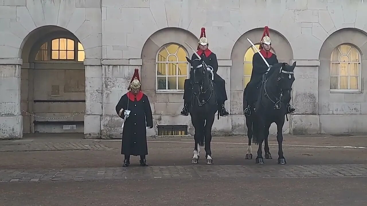 Horse brought back out for inspection #horseguardsparade