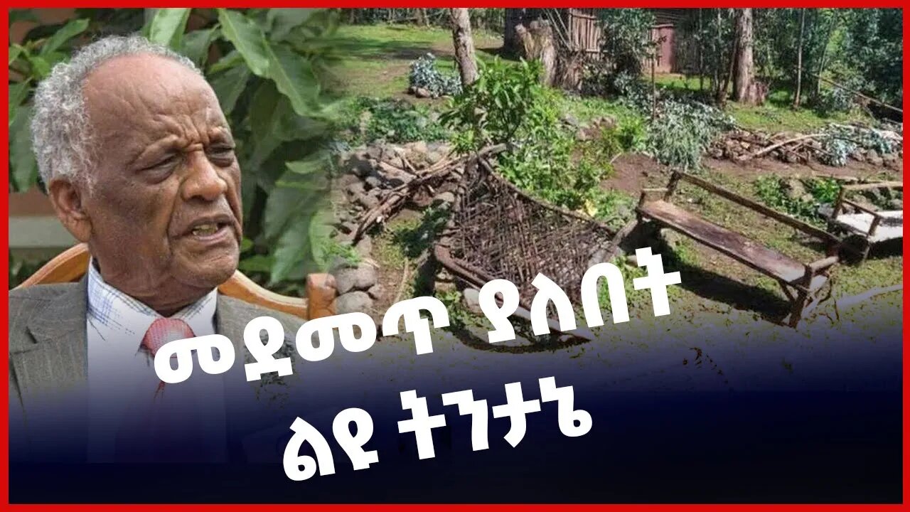 #Ethiopia መደመጥ ያለበት ልዩ ትንታኔ❗️❗️ Dec-17-2021