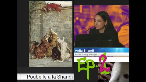 Poubelle a la Shandi ep.2 WIN 20241107 07 23 31 Pro