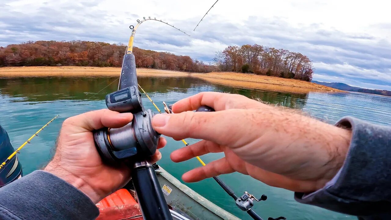 Live Bait Fishing for BIG Striped Bass (GIANT SURPRISE Catch!)