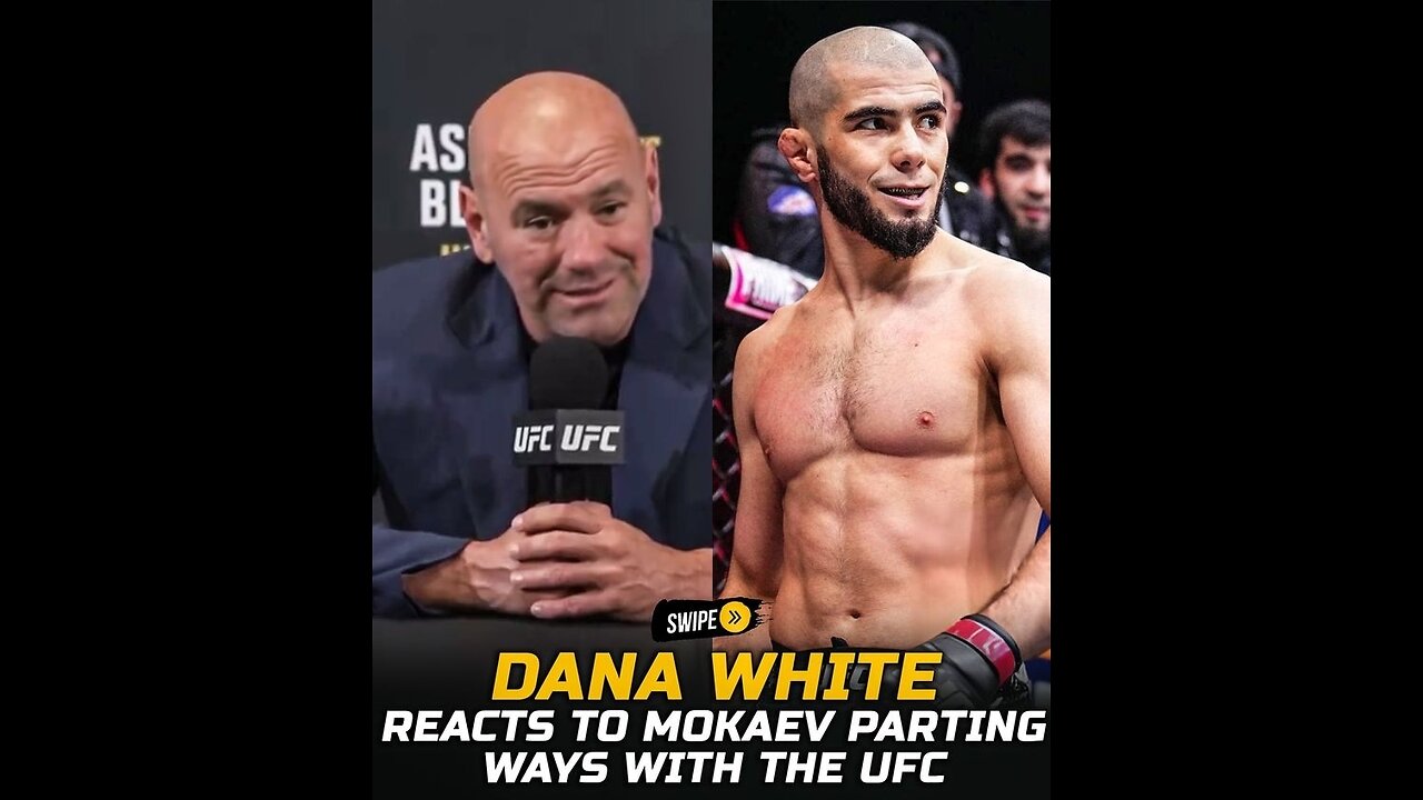 Mokaev Cut from the UFC Roster!?