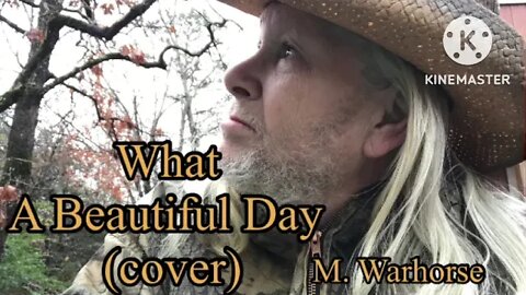 What A Beautiful Day (cover)