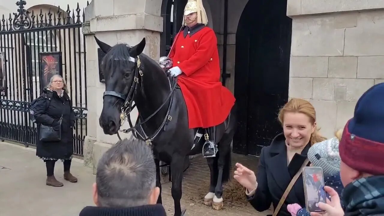 A sweet moment with the kings guards horse #horseguardsparade