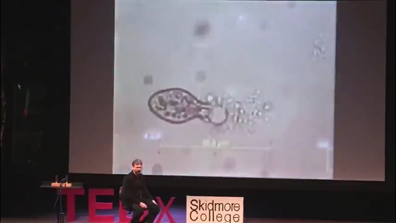 TEDx Talk w/ Anthony Holland: Shattering Cancer With Resonant Frequencies.