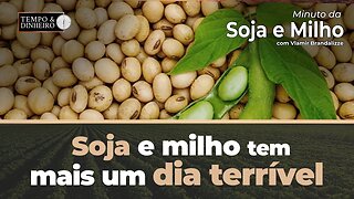 Soja e milho tem mais um dia terrível. Acompanhe o Vlamir Brandalizze