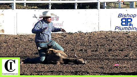 Tie-down Roping - 138th Annual Canadian Rodeo | Saturday