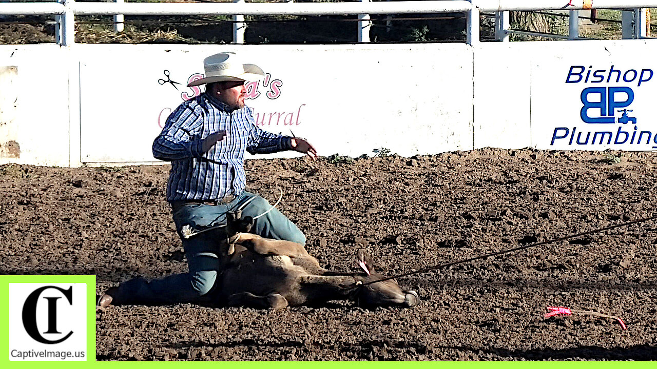 Tie-down Roping - 138th Annual Canadian Rodeo | Saturday