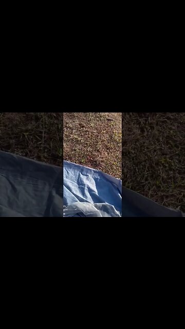 Wet Tent Care Instructions #bikelife #bugoutgear