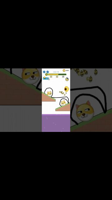 save the doge level 34