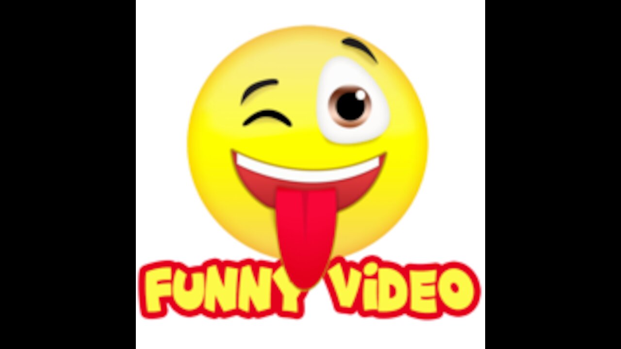 video funny fun