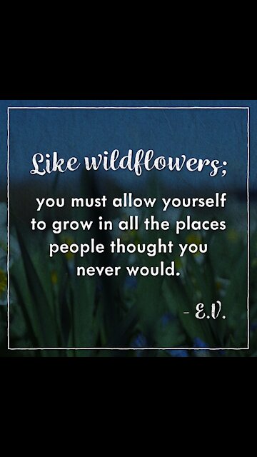 Like Wildflowers [GMG Originals]