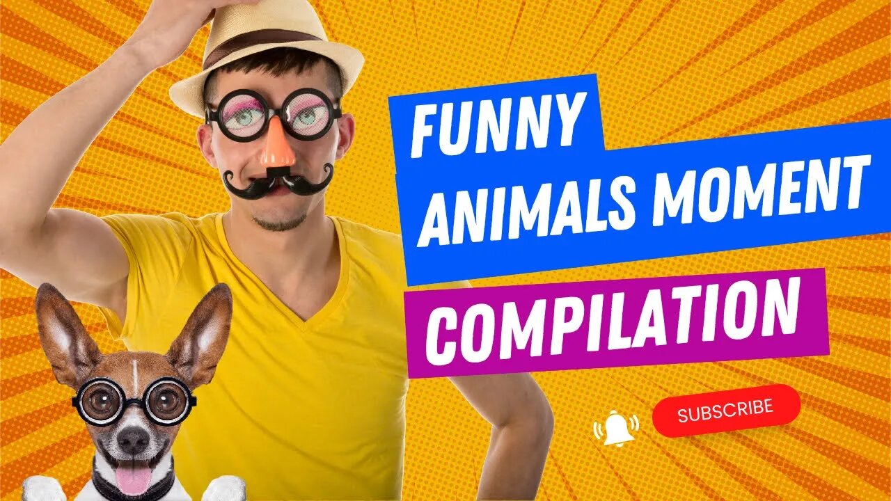 Extremely Funny Animals Video | Funny Viral Animals Videos | #youtubeshorts #shorts #animals