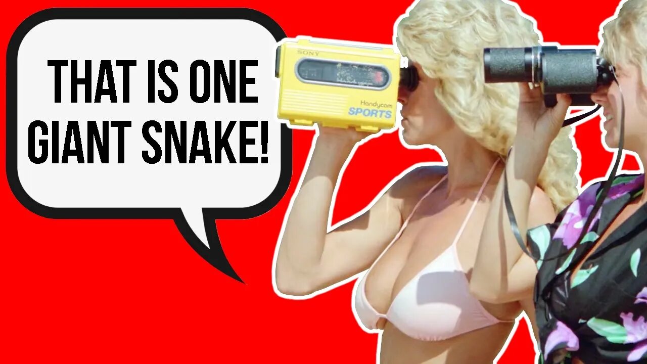 What Happens in Hard Ticket To Hawaii?