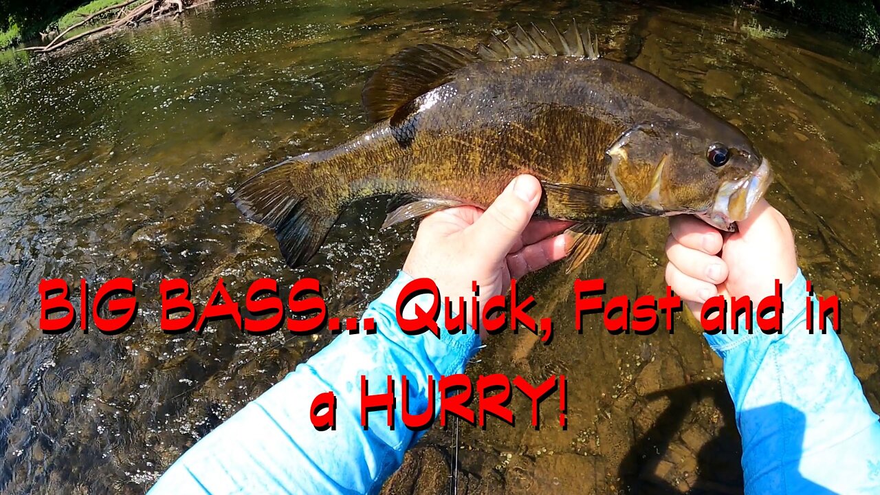 Little Time Big Bass