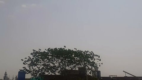 A cool breeze is blowing in a beautiful sunny morning #lahore