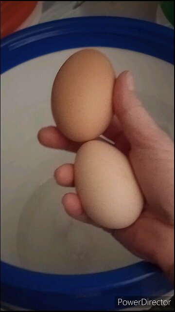 How to Waterglass Eggs