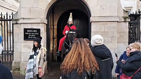 the kings guards horse shows affection #horseguardsparade