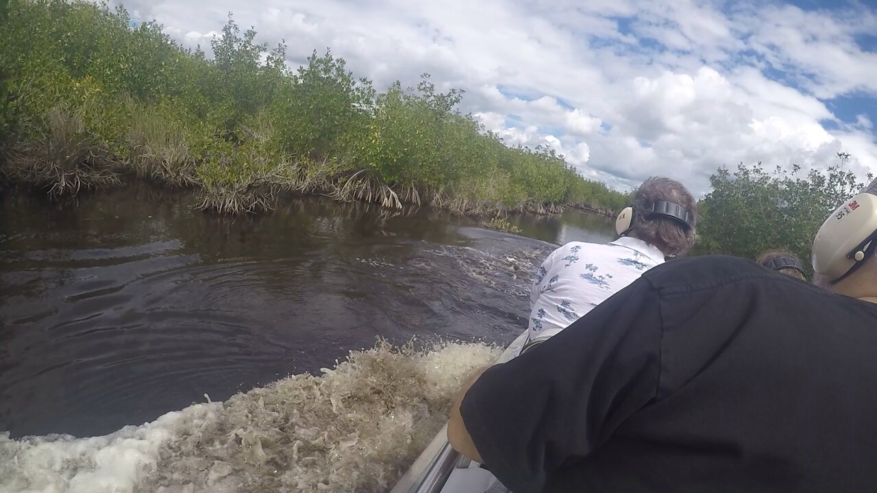 Cruising the Everglades