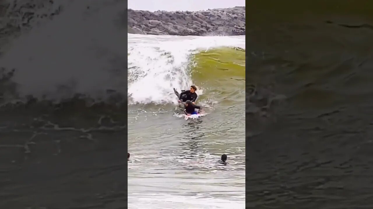 Ave. #chuchodelchucho #shorts #elcafetazo