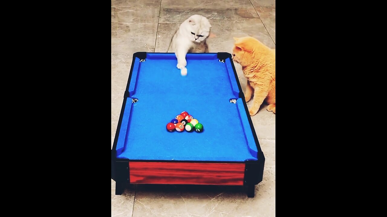 Amazing skill cats playing snooker game🤣🤣 #viral