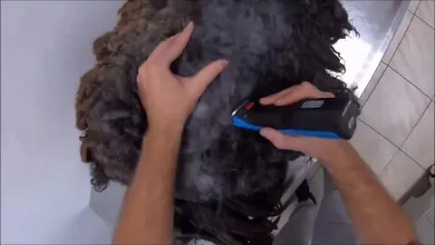 7 ===== Grooming an extremely matted cat