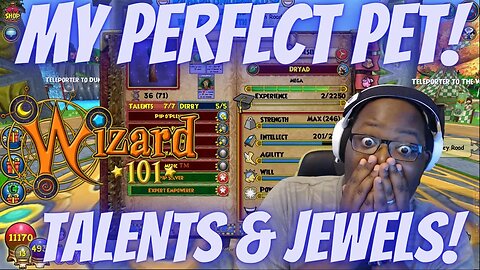❤️ MY PERFECT WIZARD101 PET! Talents & Jewel Overview!