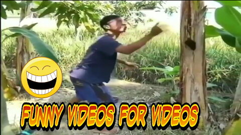 Funny videos for videos