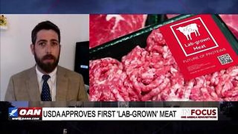 The Agenda To Replace Real Food With Insects & Lab-Grown "Meat"