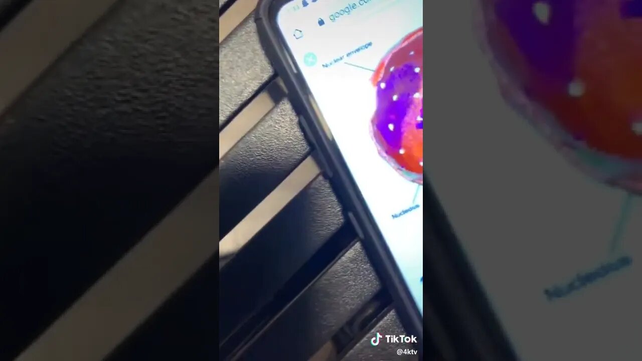 Random Funny TikTok