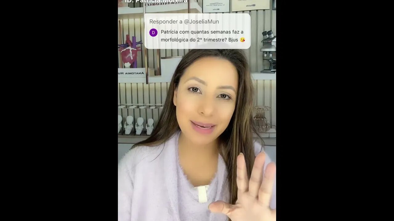 Com quantas semanas faz o morfológico?