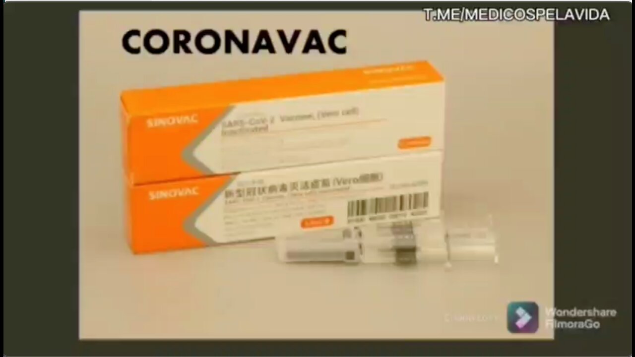 Entenda a composição da vacina Coronavac
