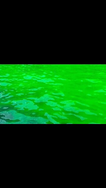 A água na costa de Balaklava ficou verde ácida