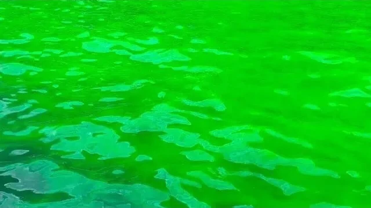 A água na costa de Balaklava ficou verde ácida