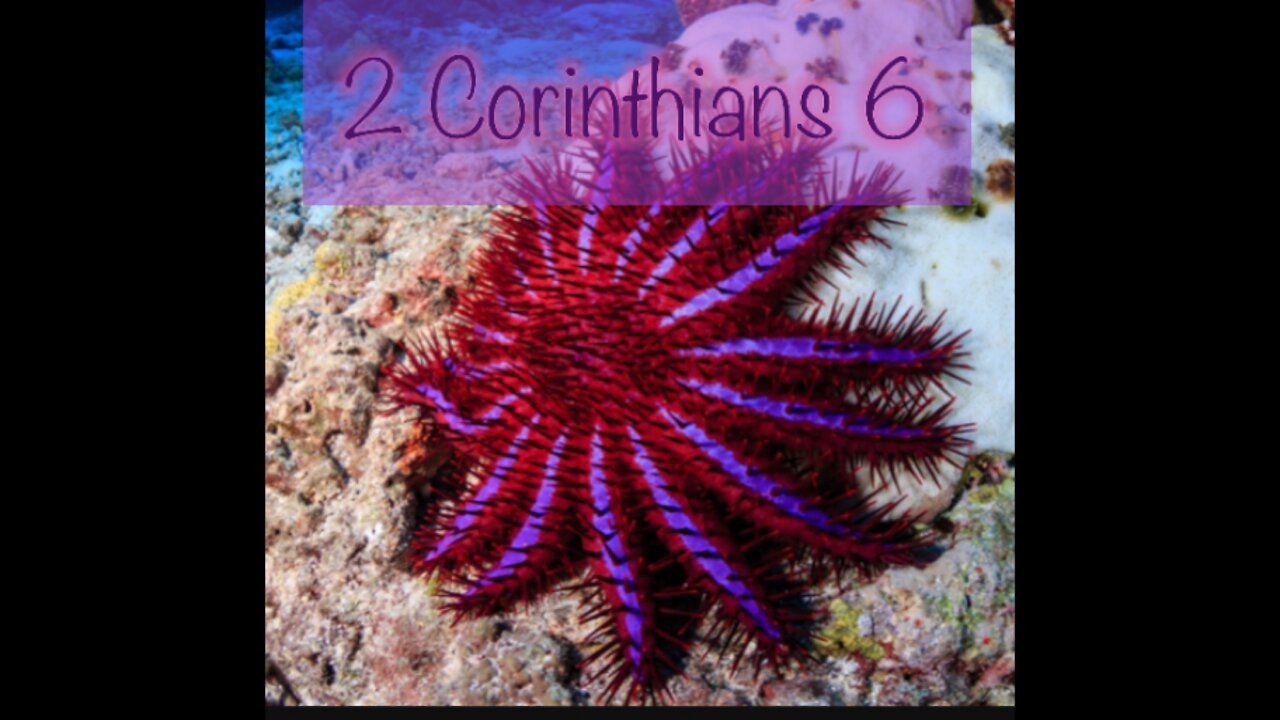 Read the Bible with me. 2 Corinthians 6