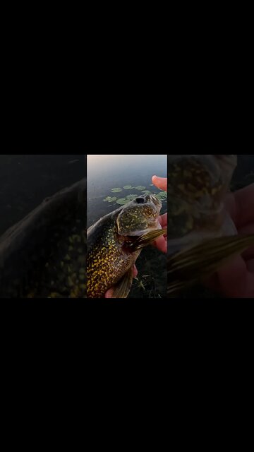 It's That Time Of The Year Again!