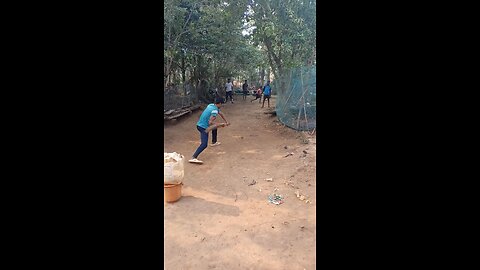 gully cricket