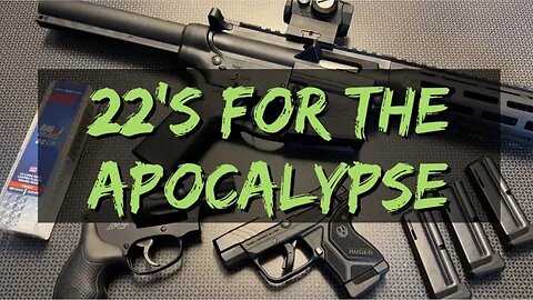 Best Post Apocalyptic 22lr's