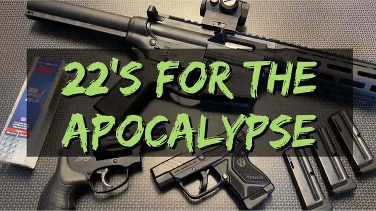 Best Post Apocalyptic 22lr's