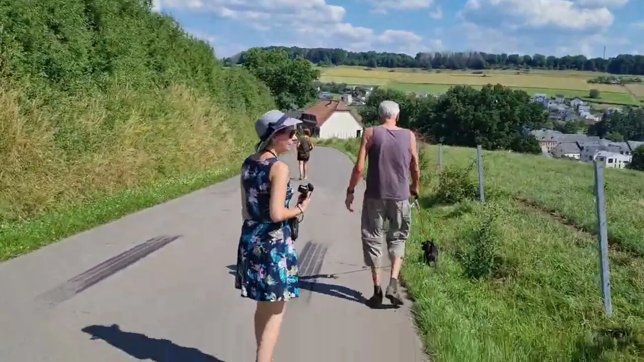 DOGWALK in Beautiful Luxemburg! Patterdale Terriers and scenery