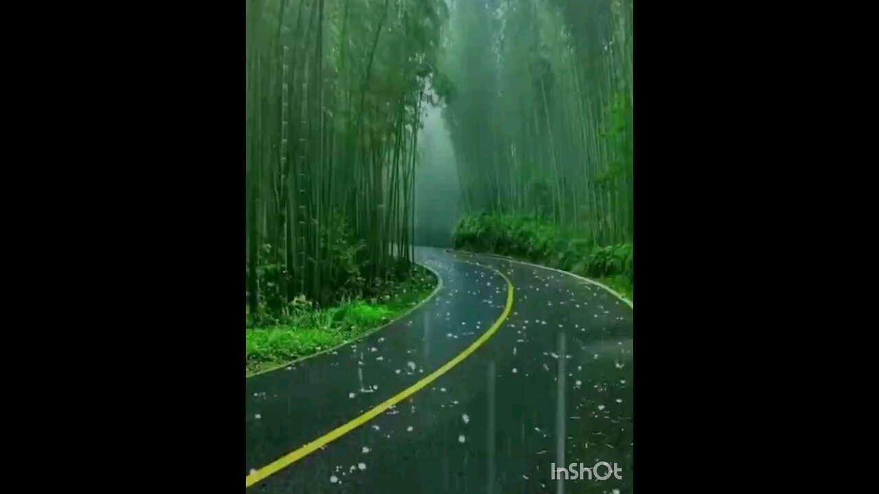Islamic videos #islamicstatus