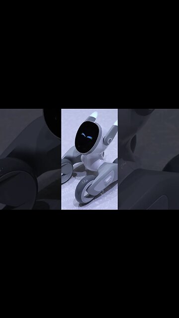 Loona Robot Waking Up #shorts