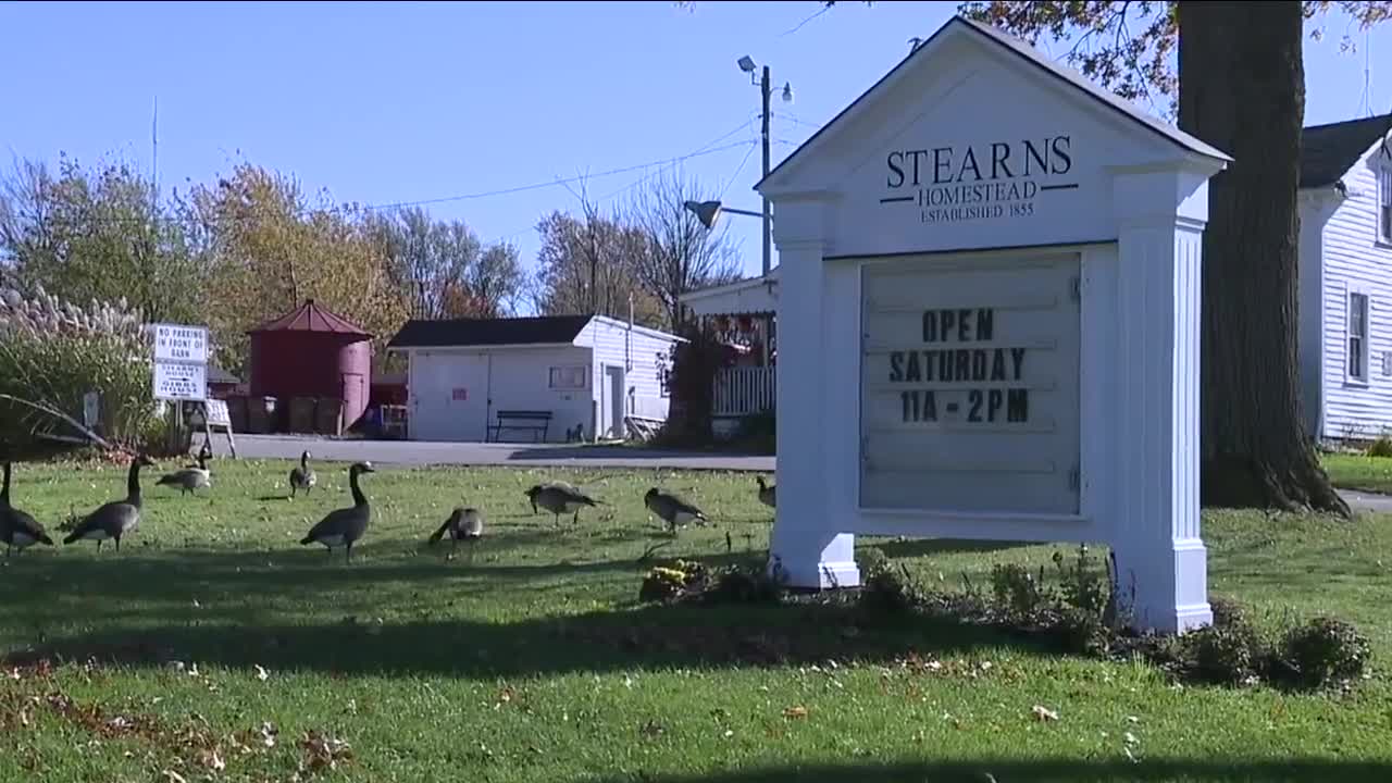 Stearns Homestead in Parma offers reward after possible attack leaving 2 goats, 1 sheep dead