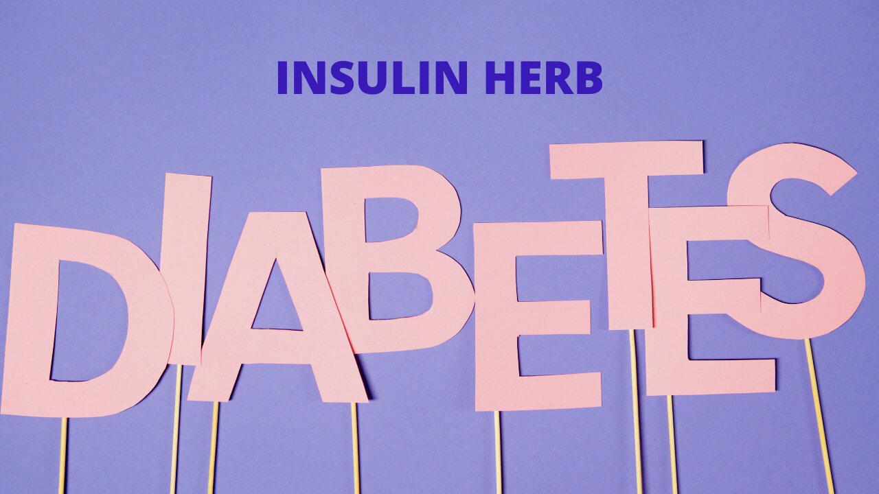 How to Insulin Plant Farming? Heartwarming Insulin Herb In 2022: Type II Diabetes: