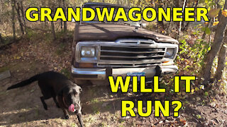 Grand Waggy Will it run and Part Out