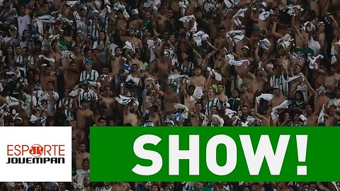 Torcida do Palmeiras bate marca EXPRESSIVA em 2017!